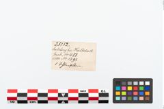 Etikett zu Schleifstein (NHMW-PRAE-025152)